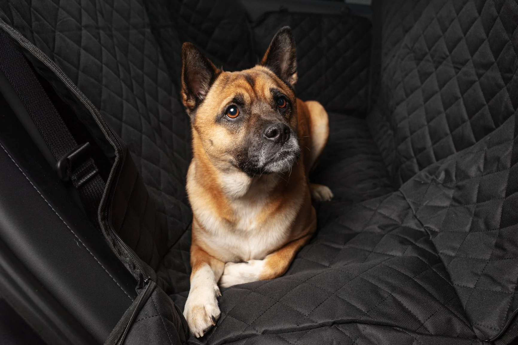 Tesla Model 3 S X Y Autodecke Hundedecke Kofferraum Rücksitz Sitze