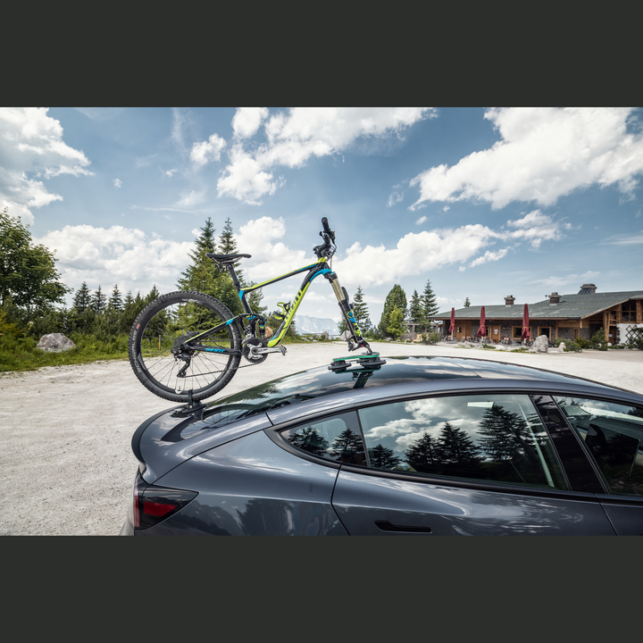 TreeFrog Dachträger Pro 2 Plus für E-Bike oder 2x normale Fahrräder, Zubehör