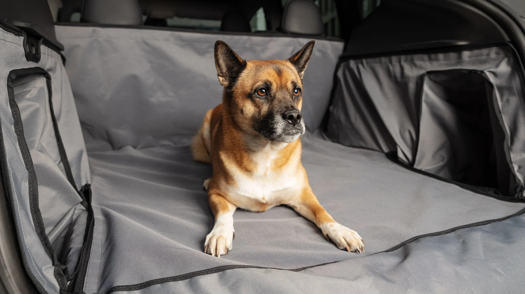 Tesla Model Y Kofferraumschutz: Ultimativer Schutz für Hunde & Ladung 🚀🐾  – Mein Tesla Zubehör